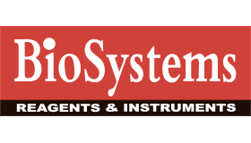 Stone Contractors